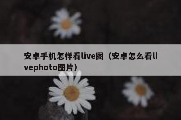 安卓手机怎样看live图（安卓怎么看livephoto图片） 第1张