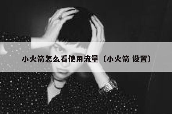 小火箭怎么看使用流量（小火箭 设置） 第1张