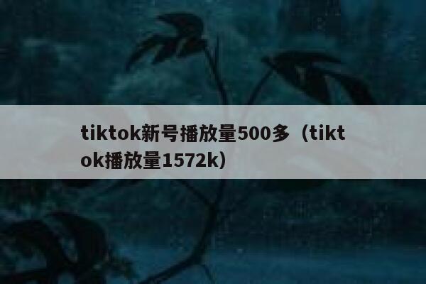 tiktok新号播放量500多（tiktok播放量1572k） 第1张