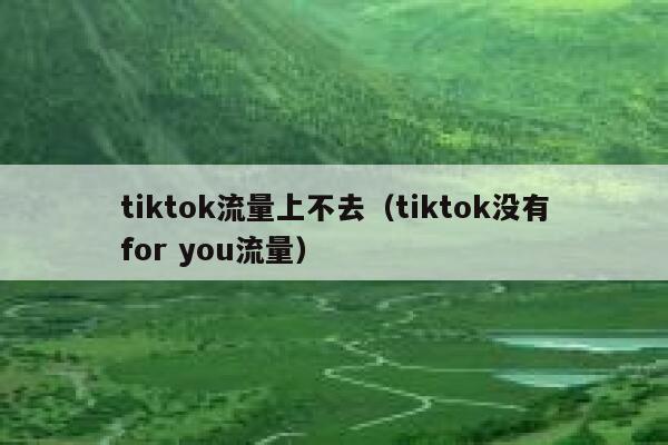 tiktok流量上不去(tiktok没有for you流量) 第1张 tiktok流量上不去(tiktok没有for you流量) 第1张