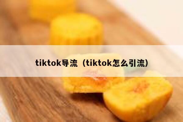 tiktok导流（tiktok怎么引流） 第1张