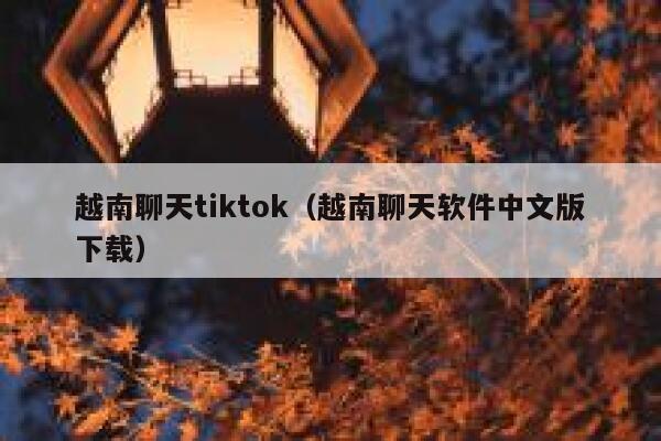 越南聊天tiktok（越南聊天软件中文版下载） 第1张