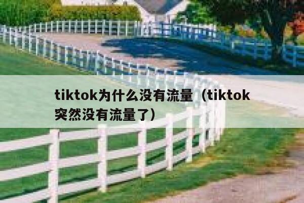 tiktok为什么没有流量（tiktok突然没有流量了） 第1张