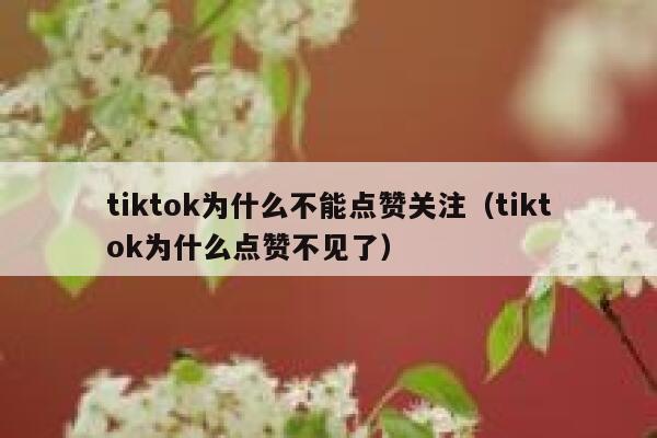 tiktok为什么不能点赞关注（tiktok为什么点赞不见了） 第1张