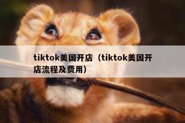 tiktok美国开店（tiktok美国开店流程及费用） 第1张