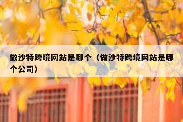 做沙特跨境网站是哪个（做沙特跨境网站是哪个公司） 第1张