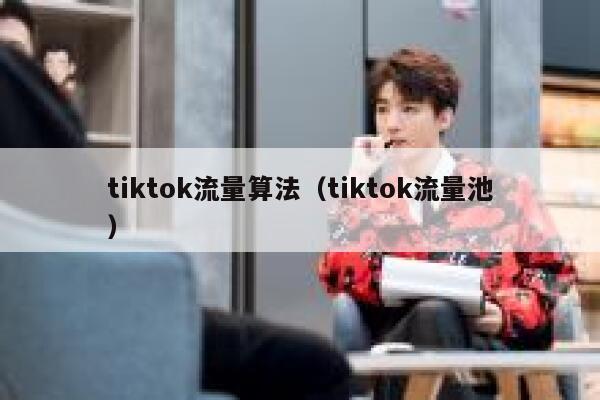 tiktok流量算法（tiktok流量池） 第1张