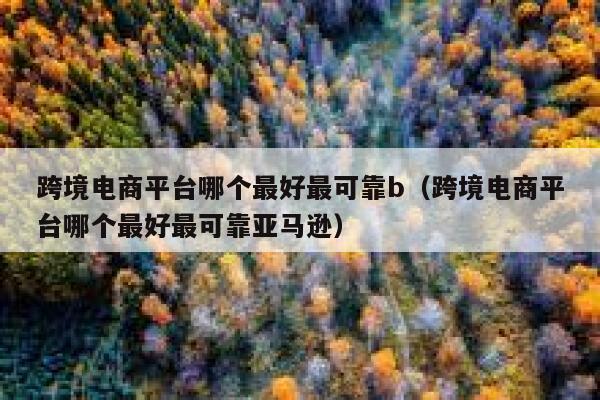 跨境电商平台哪个最好最可靠b（跨境电商平台哪个最好最可靠亚马逊） 第1张