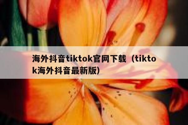 海外抖音tiktok官网下载（tiktok海外抖音最新版） 第1张