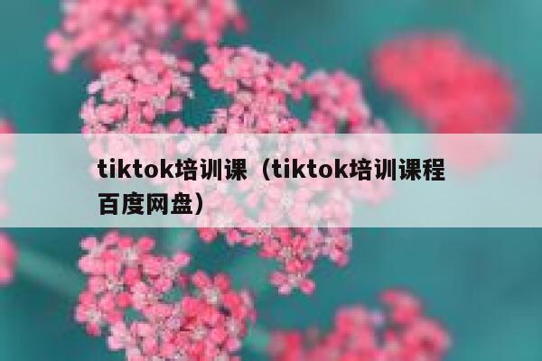 tiktok培训课（tiktok培训课程百度网盘） 第1张