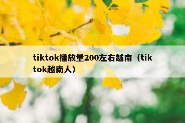 tiktok播放量200左右越南(tiktok越南人) 第1张 tiktok播放量200左右越南(tiktok越南人) 第1张