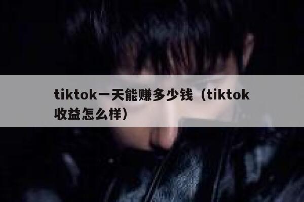 tiktok一天能赚多少钱（tiktok收益怎么样） 第1张
