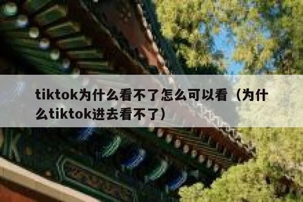 tiktok为什么看不了怎么可以看（为什么tiktok进去看不了） 第1张