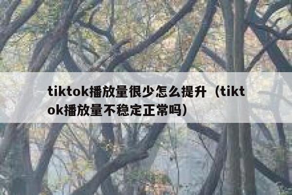 tiktok播放量很少怎么提升(tiktok播放量不稳定正常吗) 第1张 tiktok播放量很少怎么提升(tiktok播放量不稳定正常吗) 第1张