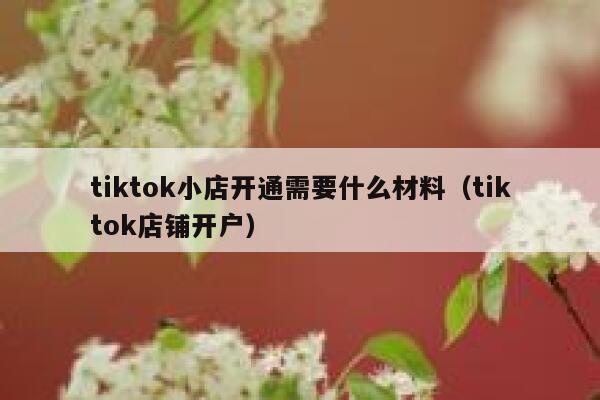 tiktok小店开通需要什么材料（tiktok店铺开户） 第1张