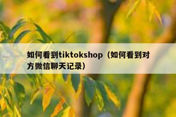 如何看到tiktokshop（如何看到对方微信聊天记录） 第1张