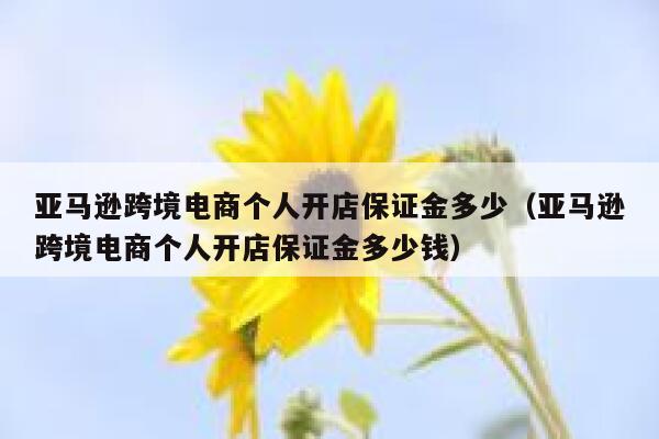 亚马逊跨境电商个人开店保证金多少（亚马逊跨境电商个人开店保证金多少钱） 第1张