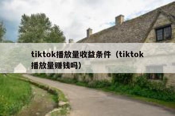 tiktok播放量收益条件（tiktok播放量赚钱吗） 第1张