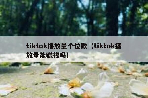 tiktok播放量个位数（tiktok播放量能赚钱吗） 第1张