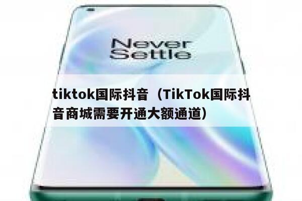 tiktok国际抖音（TikTok国际抖音商城需要开通大额通道） 第1张