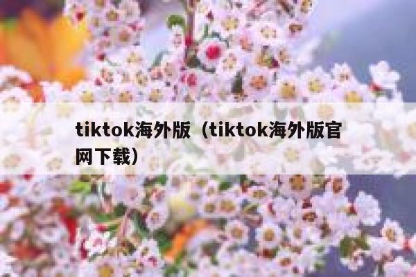 tiktok海外版（tiktok海外版官网下载） 第1张
