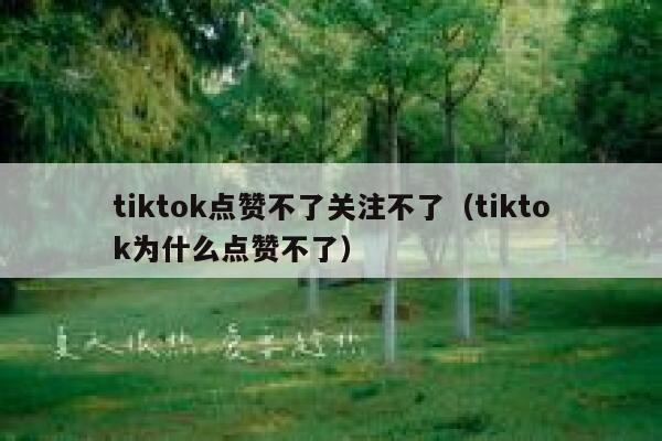 tiktok点赞不了关注不了(tiktok为什么点赞不了) 第1张 tiktok点赞不了关注不了(tiktok为什么点赞不了) 第1张