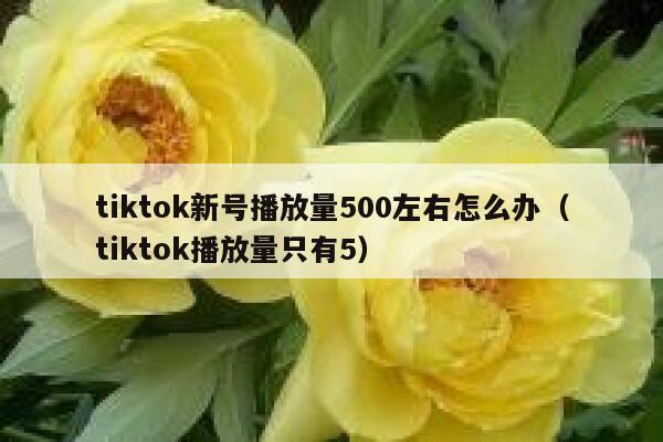 tiktok新号播放量500左右怎么办（tiktok播放量只有5） 第1张