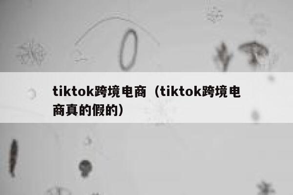 tiktok跨境电商（tiktok跨境电商真的假的） 第1张