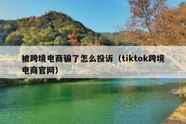 被跨境电商骗了怎么投诉（tiktok跨境电商官网） 第1张