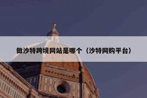 做沙特跨境网站是哪个（沙特网购平台） 第1张