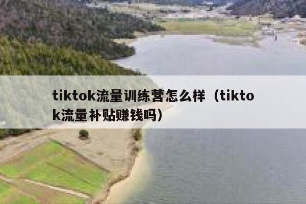 tiktok流量训练营怎么样(tiktok流量补贴赚钱吗) 第1张 tiktok流量训练营怎么样(tiktok流量补贴赚钱吗) 第1张