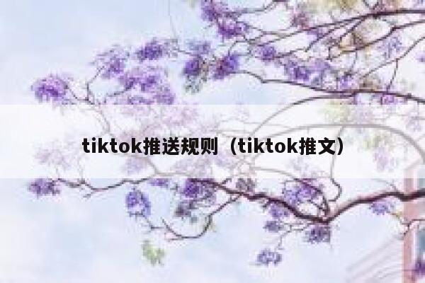 tiktok推送规则（tiktok推文） 第1张