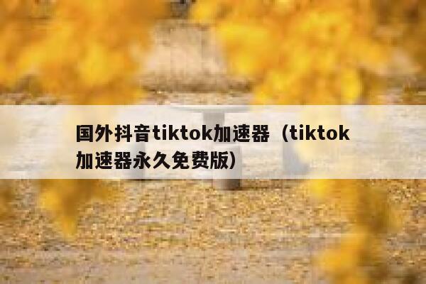 国外抖音tiktok加速器（tiktok加速器永久免费版） 第1张