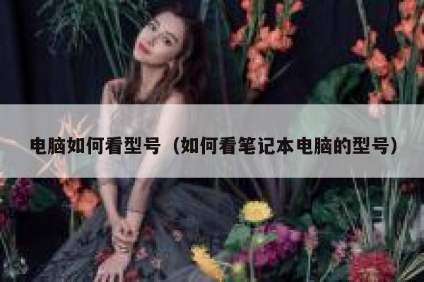 电脑如何看型号(如何看笔记本电脑的型号) 第1张 电脑如何看型号(如何看笔记本电脑的型号) 第1张