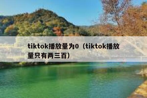 tiktok播放量为0（tiktok播放量只有两三百） 第1张