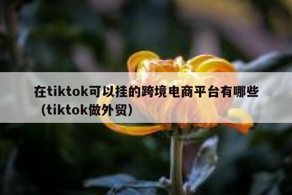 在tiktok可以挂的跨境电商平台有哪些（tiktok做外贸） 第1张