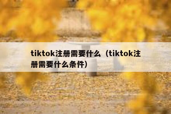 tiktok注册需要什么（tiktok注册需要什么条件） 第1张