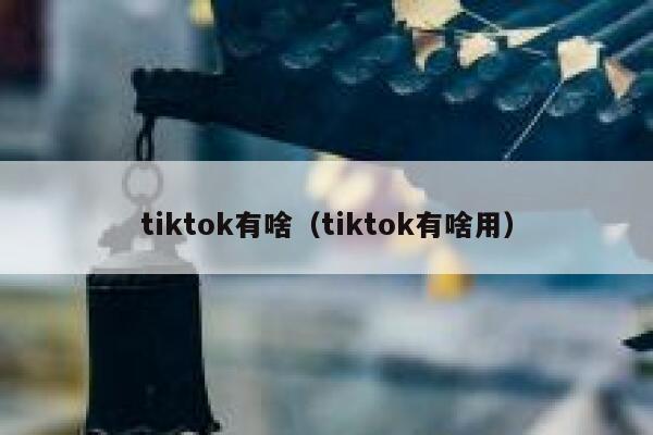 tiktok有啥(tiktok有啥用) 第1张 tiktok有啥(tiktok有啥用) 第1张