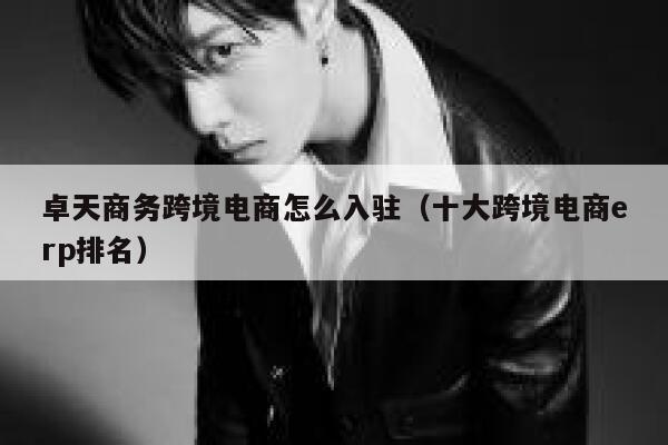 卓天商务跨境电商怎么入驻(十大跨境电商erp排名) 第1张 卓天商务跨境电商怎么入驻(十大跨境电商erp排名) 第1张