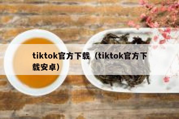 tiktok官方下载（tiktok官方下载安卓） 第1张