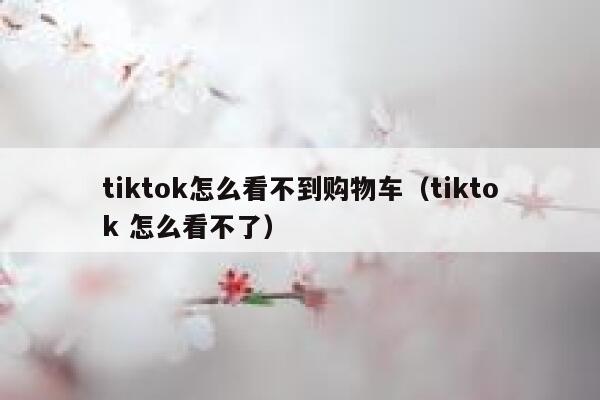 tiktok怎么看不到购物车（tiktok 怎么看不了） 第1张