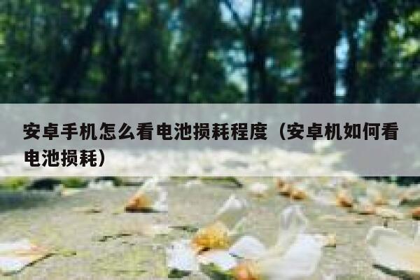 安卓手机怎么看电池损耗程度（安卓机如何看电池损耗） 第1张