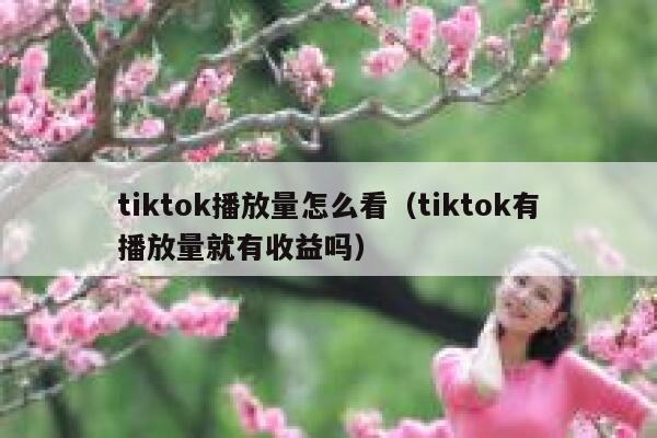 tiktok播放量怎么看（tiktok有播放量就有收益吗） 第1张
