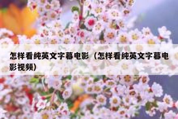 怎样看纯英文字幕电影（怎样看纯英文字幕电影视频） 第1张