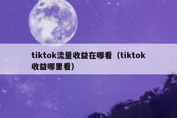 tiktok流量收益在哪看（tiktok收益哪里看） 第1张