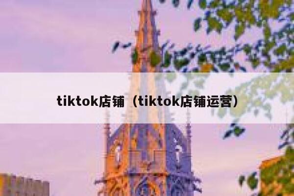 tiktok店铺（tiktok店铺运营） 第1张