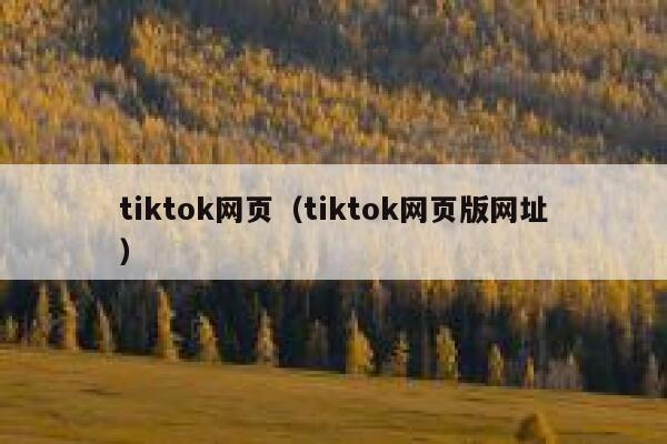 tiktok网页（tiktok网页版网址） 第1张