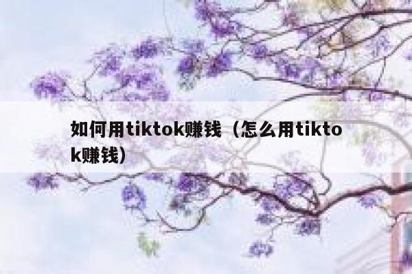 如何用tiktok赚钱(怎么用tiktok赚钱) 第1张 如何用tiktok赚钱(怎么用tiktok赚钱) 第1张