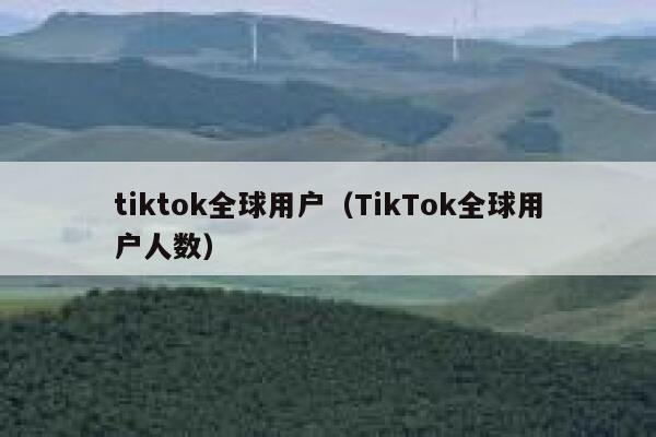 tiktok全球用户（TikTok全球用户人数） 第1张