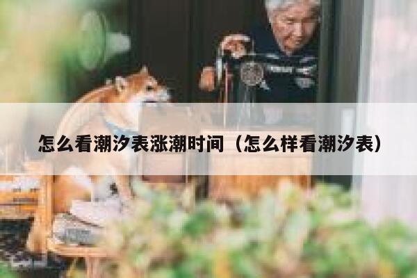 怎么看潮汐表涨潮时间(怎么样看潮汐表) 第1张 怎么看潮汐表涨潮时间(怎么样看潮汐表) 第1张